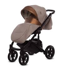 BabyActive Stroller – CHIC 2 in 1 C04